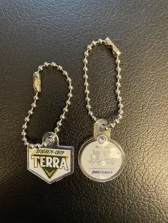 TERA & JINRO IS BACK アクリルキーホルダー