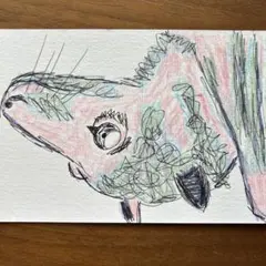 1点もの ホーランドロップ動物 イラスト 原画 ボールペン 色鉛筆
