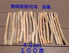 流木　１００本セット　長さ４０cm　直径１,５cm～３,０cm　両端カット済み