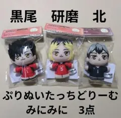 ハイキュー！！　ぷりぬいたっちどりーむみにみに　孤爪研磨　黒尾鉄朗　北信介　3点