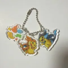 ポンチョを着たピカチュウ アクリルキーホルダー メガリザードン 2個