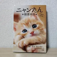 2026年最新】にゃんたんの人気アイテム - メルカリ