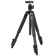 Item thumbnail for item 07dc344f-d283-4e30-9016-4c9b6627b24c