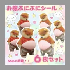 6枚セット】おなかぷにぷにシール　 お腹　柴犬　シリコン　まとめ売