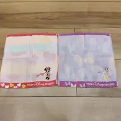 ディズニーミニーとデイジータオルセット