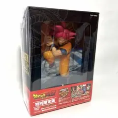 【特別限定版】ドラゴンボールZ 神と神 初回生産限定　DVD