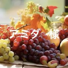 アミダ 様