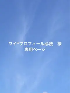 ワイ*プロフィール必読　様　専用ページ