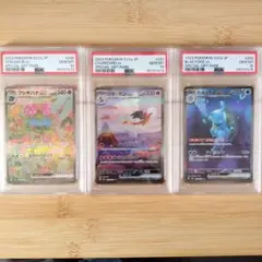 Item thumbnail for item b0104564-d508-4021-9557-ade9cc61af59