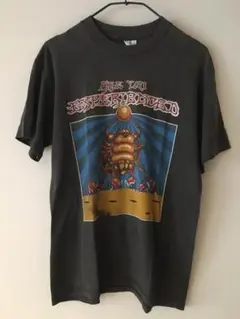 JIMI HENDRIX / RICK GRIFFIN ビンテージ Tシャツ