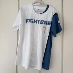 Item thumbnail for item 9ecde725-584c-4552-99f6-fec569292698