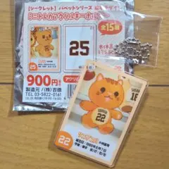 小林誠司　リスがコバ　読売ジャイアンツ　巨人軍　⑧⑮