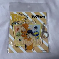 2026年最新】ハイキュー!! アクリルビッグキーホルダー 日向&影山の