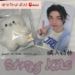 straykids スキズ ヒョンジン 特典トレカ キーリング