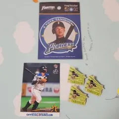 Item thumbnail for item a49fcbc7-3d91-439a-8b43-3191e1ecd81b