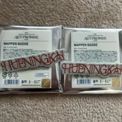 txt ヒュニンカイ　ワッペンバッチ　act promise