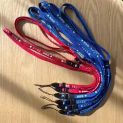 Item thumbnail for item 51f1ff3d-1b9e-4055-8fd4-e50ad1acb918