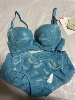 トリンププレミアム　D65ブルー　サイドを寄せてデコルテふっくら　上下セット