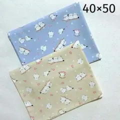 給食ナフキン　ランチョンマット　シマエナガ　ブルー&ベージュ　ハンドメイド