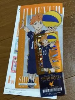 ハイキュー　日向翔陽　チケットケース＆クリアカード