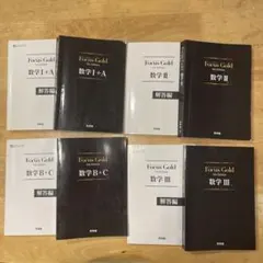 Focus Gold 5th Edition 数学 Ⅰ+A〜Ⅲ+複素数平面式6巻 Focus Gold（フォーカスゴールド） 5th Edition 数学III+複素数平面