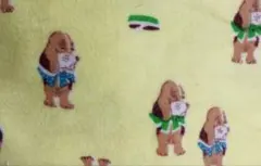 ちーたんさま専用です。同梱いたします。