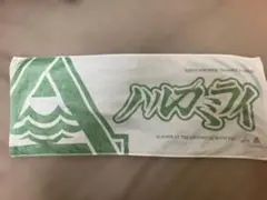 2026年最新】国内アーティスト：ハルカミライ ミュージシャン タオルの