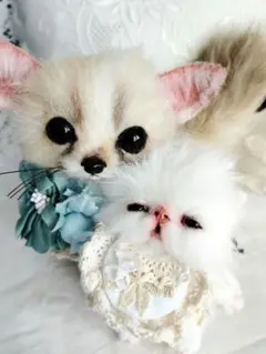 メルモちゃん❤オーダー❤ベビーフェネックちゃん♡お持たせ子猫ちゃん♡