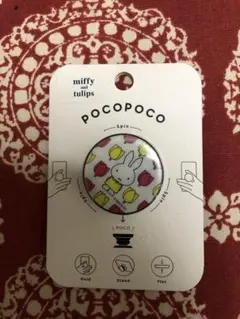グルマンディーズ pocopoco ミッフィー チューリップ その2のサムネイル