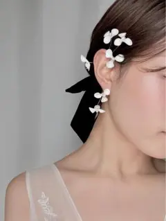 Item thumbnail for item 36cbbc9b-00b2-4cbd-8ec6-304d4bc61435