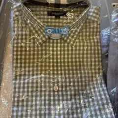 Item thumbnail for item 0e12eabb-e36a-4841-9e6f-b95115b7cfca