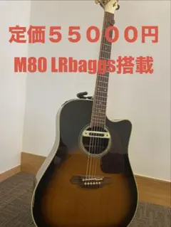 2026年最新】takamine アコースティックギターの人気アイテム - メルカリ