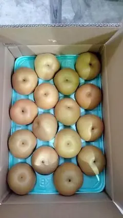 幸水梨 36玉入り 10kg 優品 幸水梨 36玉入り 10kg 優品 | Mercari