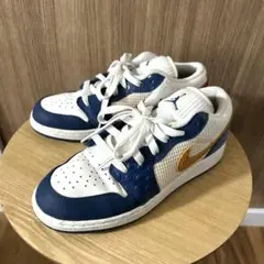 NIKEジョーダン多彩カラースニーカー