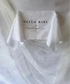 HELLO BABYタペストリー　新生児　ニューボーンフォト