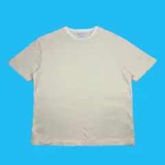 Sunspel リヴィエラメッシュ Tシャツ ポルトガル製 Lのサムネイル