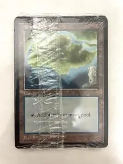 Pippi様 リクエスト 2点 まとめ商品