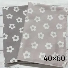 ハンドメイド　40×60 ランチョンマット2枚セット　女の子　小学校　大きめ