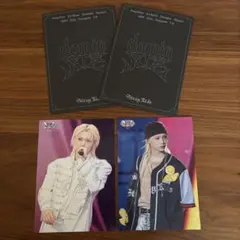 Stray Kids dominATE VR ラントレ フィリックス