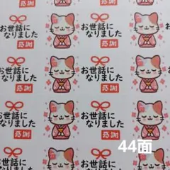 2025年最新】気になる方はご購入をお控え下さい。の人気アイテム