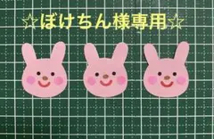 うさぎ20枚