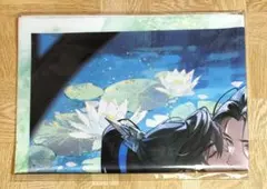 二哈と彼の白猫師尊 ドラマCD 特装盤 特典 B2布ポスター 二哈和他的白