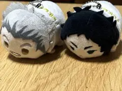 赤葦京治 もちマス ハイキュー もちもちマスコット 赤葦京治 vol.5 もちころりん