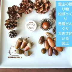里山の贈り物　松ぼっくり　各種どんぐり 大きさ色いろ　図工