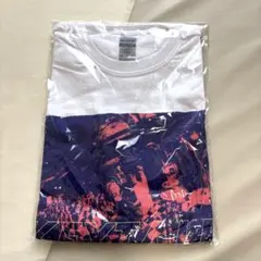 Item thumbnail for item df19c063-7340-4340-baa4-cf84065ccdaf