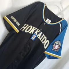 MIZUNO 廃盤 北海道日本ハムファイターズ 日ハム 旧 ユニフォーム ウェア