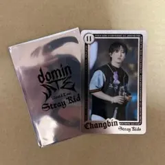 Stray Kids dominATEエコパ ライブフォトカード チャンビン