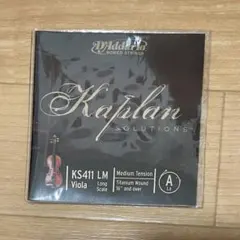 Item thumbnail for item b3b94fb9-7a23-49fd-934f-ee2fd8cdd6cd