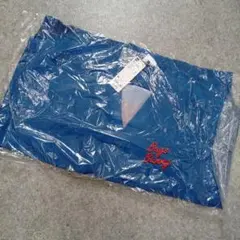 Item thumbnail for item c8642400-9ba5-48ee-ada2-e41a4a90e47c