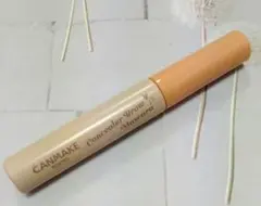CANMAKE　キャンメイク　コンシーラーブロウマスカラ02のサムネイル